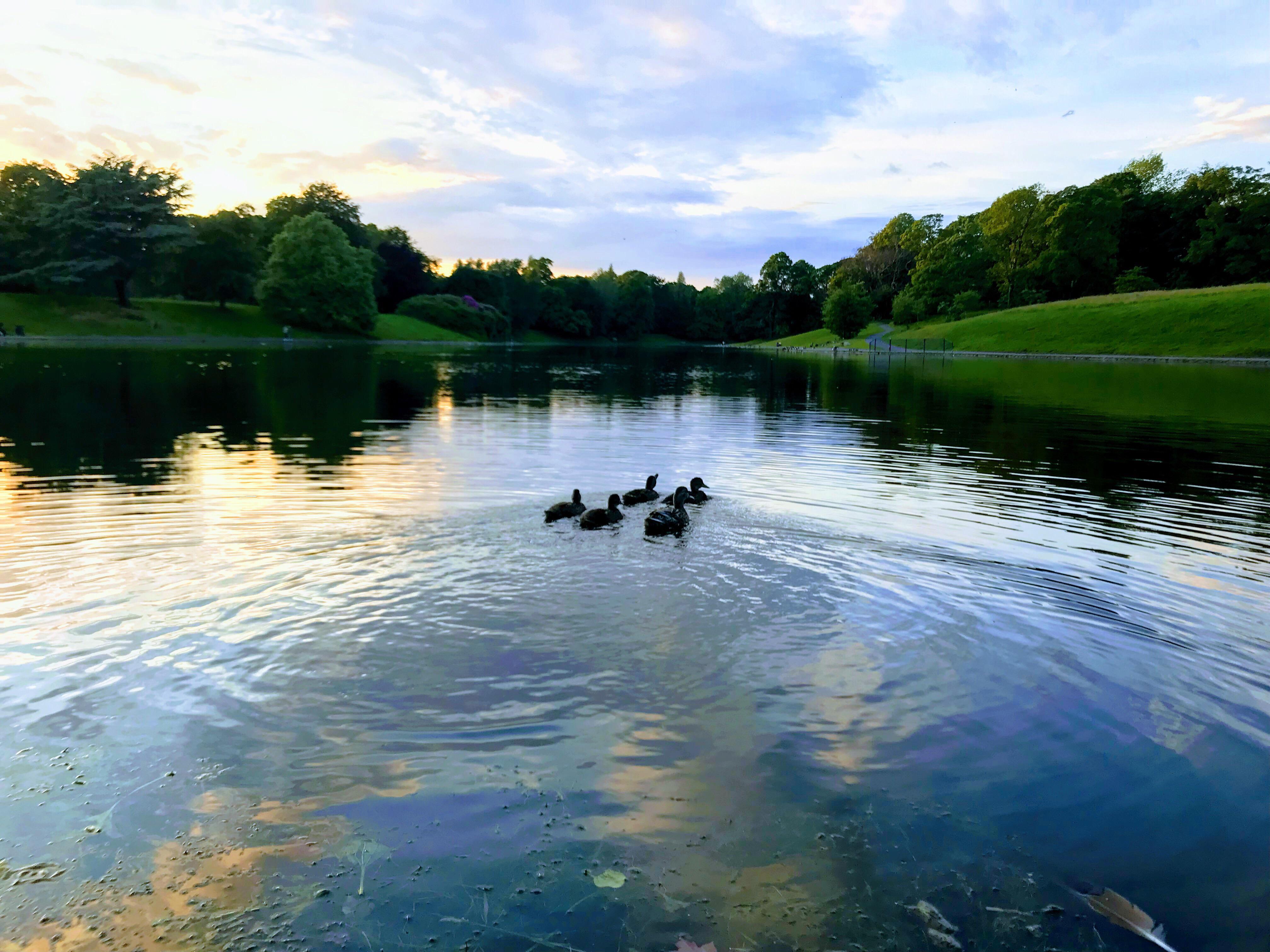 Sefton Park Hotel Λίβερπουλ Εξωτερικό φωτογραφία